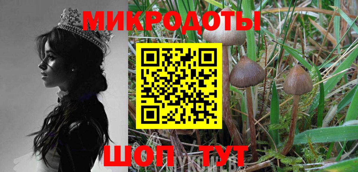 Псилоцибиновые грибы мухоморы  Галлюциногенные грибы GOLDEN TEACHER  Вход с VPN  Краснознаменск 